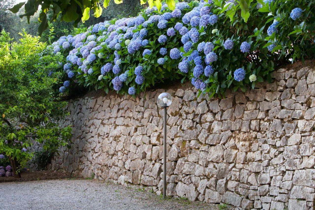 Villa Oriana Relais Sorrent Exterior foto